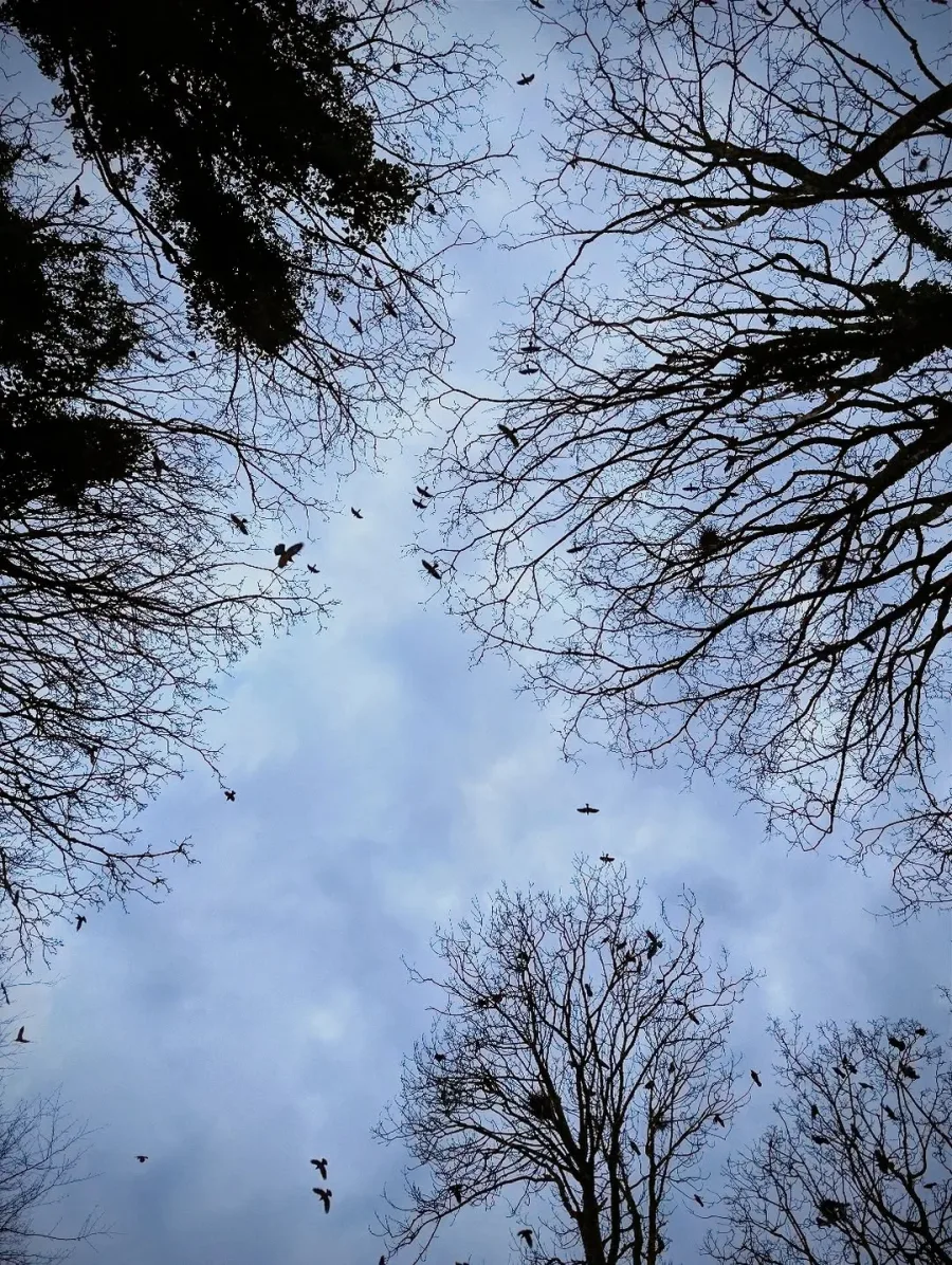 Photography by Rosey Wicks